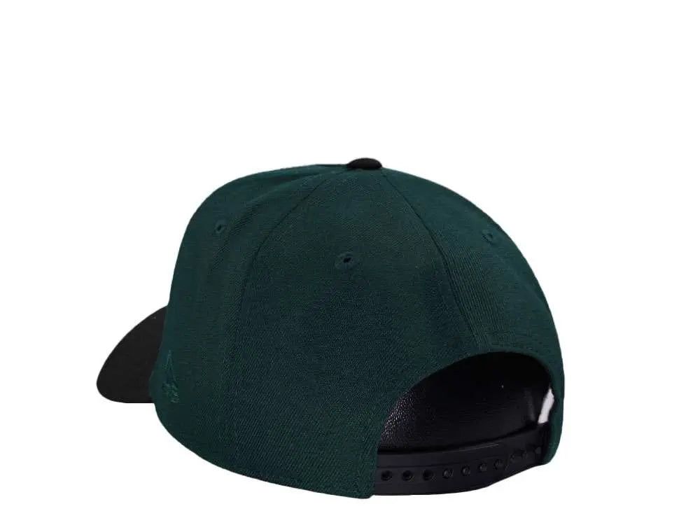 Astros de Houston “Black Forest 45th” 9FORTY